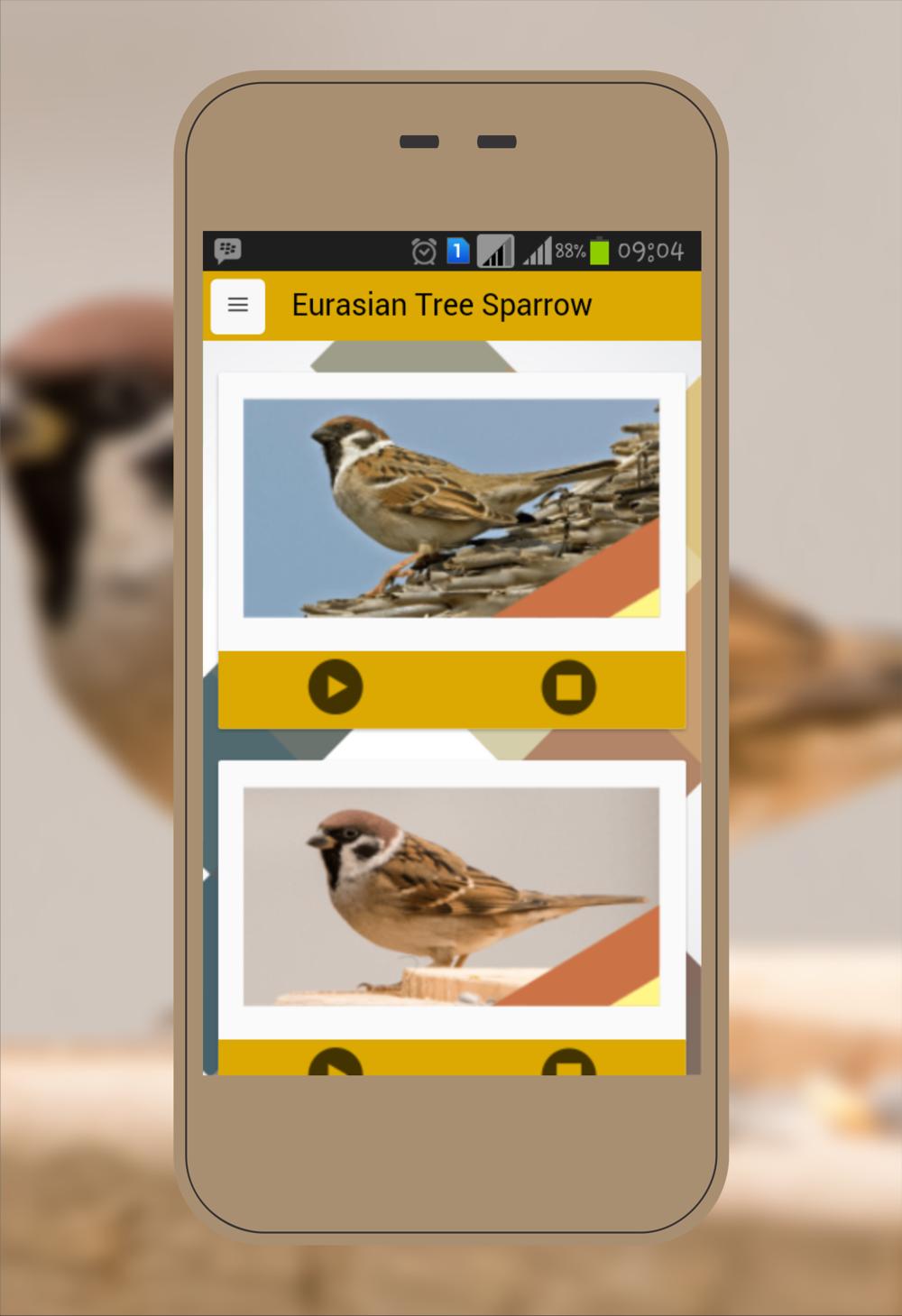 Приложение с птичкой. Птичка приложение название. Птичье приложение. Желтое приложение про птиц.