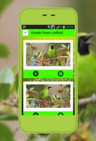 Mais Verde Leafbird Cartaz