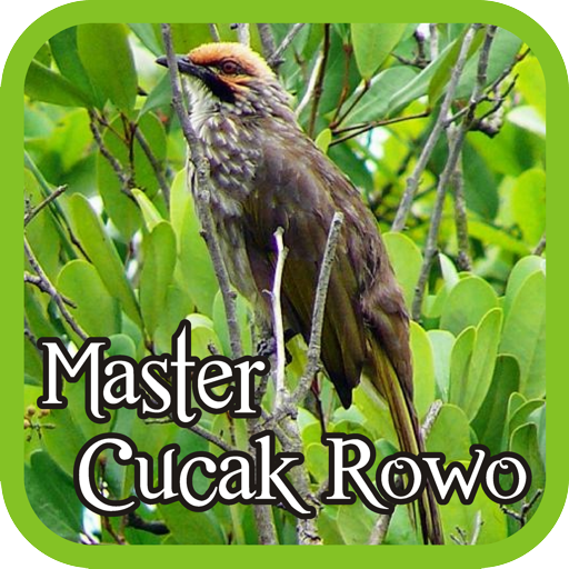 Master Cucak Rowo