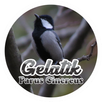 Parus Cinereus APK
