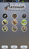 Parus Cinereus poster