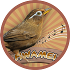 Hwamei (Garrulax canorus) 아이콘