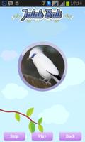 Bali Starling screenshot 1