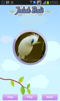 Bali Starling screenshot 2