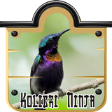 Sunbird gorge violet icône