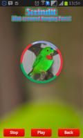Bleu-couronné Hanging Parrot capture d'écran 1