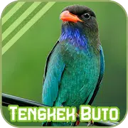 Oriental Dollarbird