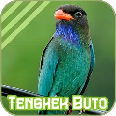 Tengkek Buto APK 下載