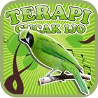 Greater Green Leafbird Therapy ikon