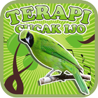 آیکون‌ Greater Green Leafbird Therapy