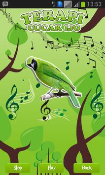 Greater Green Leafbird Therapy poster