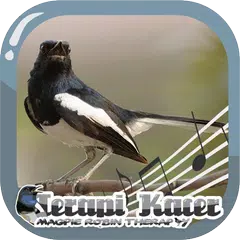 Magpie Robin Therapy
