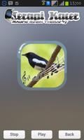 Magpie Robin Therapy screenshot 1