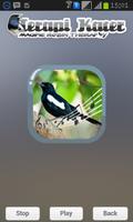 Magpie Robin Therapy screenshot 2