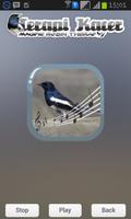 Magpie Robin Therapy screenshot 3