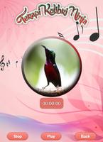 برنامه‌نما Purple Throated Sunbird عکس از صفحه