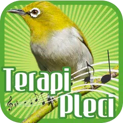 Terapi Pleci