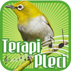 Zosterops Therapy APK