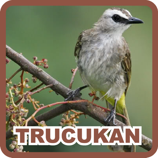 Trucukan