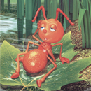 قصة النملة والحمامة APK