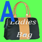 Ladies hand bag collection-icoon