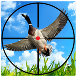 Bird Hunter : Sniper Duck Hunting Season War icône