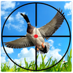 Bird Hunter : Sniper Duck Hunting Season War