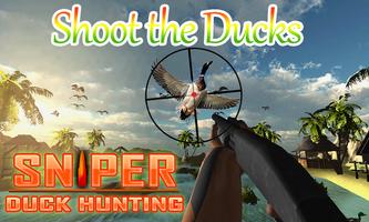 Bird Hunter : Sniper Duck Hunting Season War poster