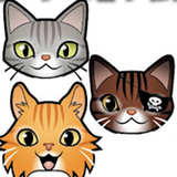 Cat Adventure Free icono