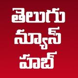 Telugu News Hub icône