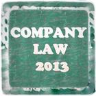 Company law 2013 иконка