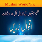 Muslim World*PK आइकन