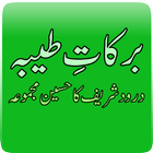 Barkaat-e-Taiba ícone