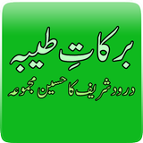 Barkaat-e-Taiba ícone
