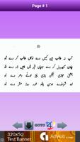 Abyat-e-Bahoo スクリーンショット 3