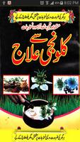 Kalonji Se Ilaj الملصق