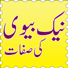 آیکون‌ Naik Biwi