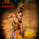 Indonesia Hotel & Travel-APK