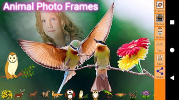Animals Photo Frames Affiche