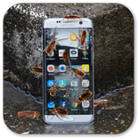 Scary Cockroaches On Screen