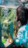 Aquarium Live WallPaper Plakat