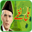 Pakistani mili naghme 2018 ikon