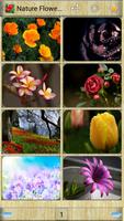 Nature Flowers Wallpapers Affiche