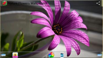 Nature Flowers Wallpapers syot layar 2