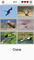 Bird World - Famous Birds Quiz 截圖 1