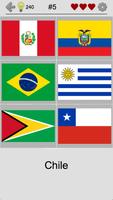 Flags of All World Continents ảnh chụp màn hình 1