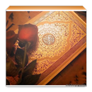 Quran Tukufu APK