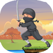 Ninja Run Adventure