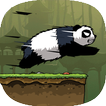 Panda Jungle Run