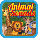 Learn Animal Sounds APK